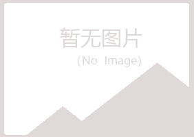 陕县夏岚会计有限公司